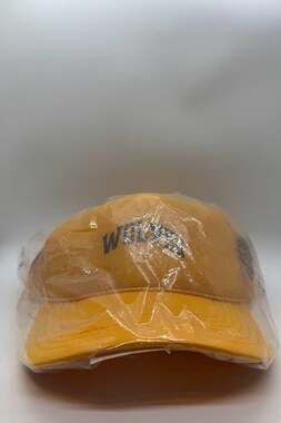 Darc Sport Wolves Loyalty Trucker Hat in Gold